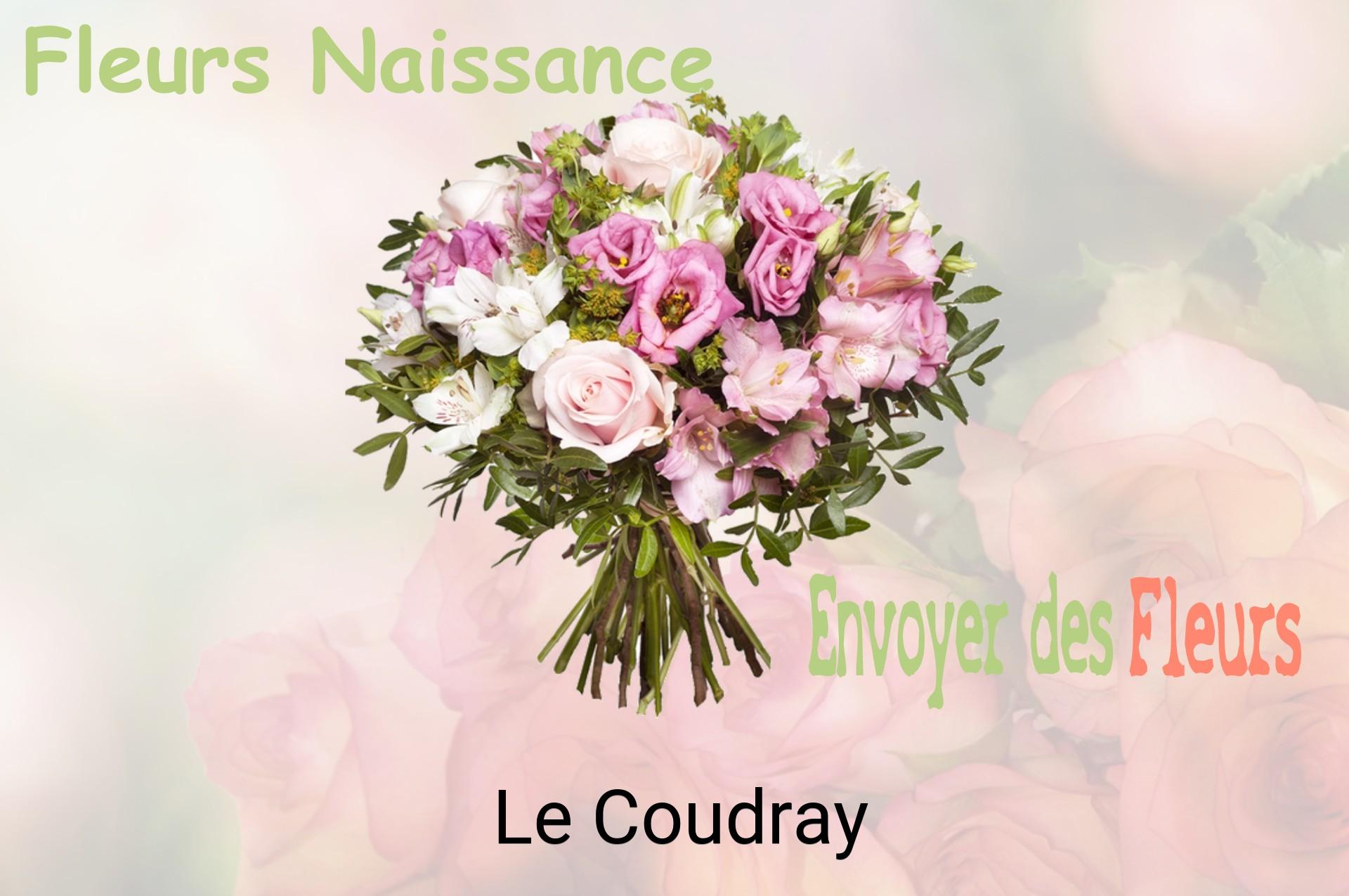 Bouquet de fleurs de naissance livré à Le Coudray